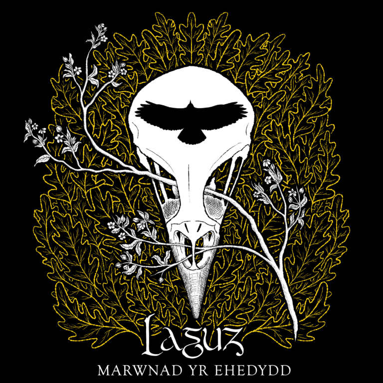 New T-shirt plus album bundled at discounted price.